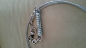 おしりにしっぽのあるコーギーブログの写真。鎖を新調したコーギー犬