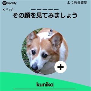 コーギーブログ